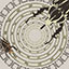 Golden Bugs Square Rug by Rug'Society