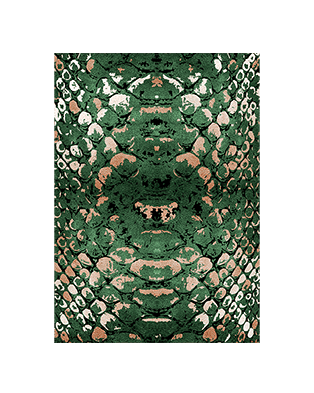 Reptilus Rug by Rug'Society