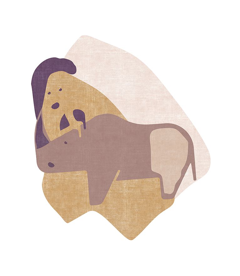 Mr. Rhino Kids Rug by Rug'Society