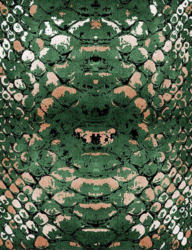 Reptilus Rug by Rug'Society