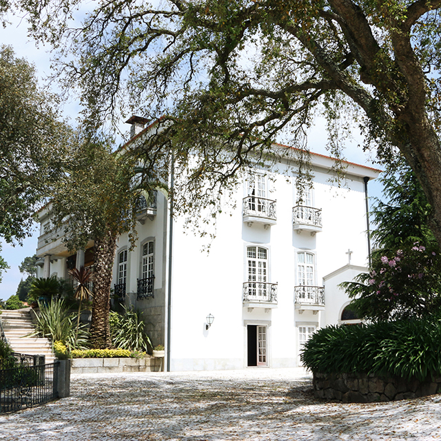 Covet Douro 4
